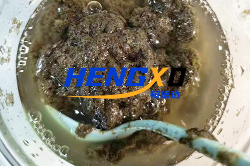 1766036551893213.png 1766036551893213.png